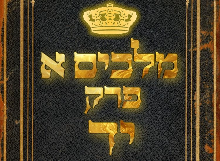 שיעור נ"ך יומי: מלכים א, פרק יד